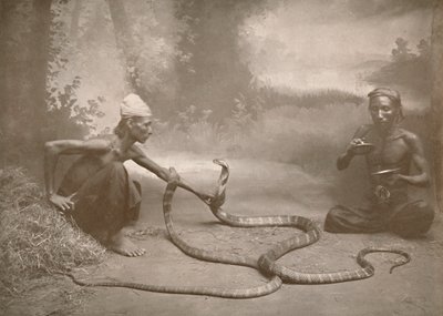Slangesjarmere med Hamadryads Kuy Cobras, 1900. av Unbekannt
