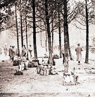 Soldater og flokker i skogen, c1914-c1918 av Unbekannt