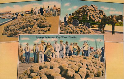 Schwammindustrie, Key West, Florida, ca. 1940er von Unbekannt
