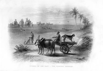 Sports of the East, The Hunting Cheetah, 1800-tallet av Unbekannt