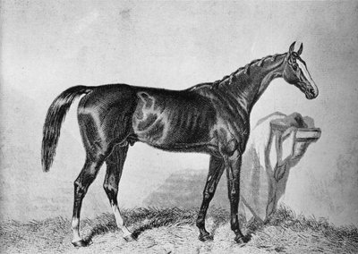 St. Albans, ca. 1800-tallet, 1911 av Unbekannt