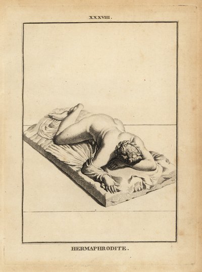 Statue av Hermafroditus, gresk gud for fagforeninger, androgyni, ekteskap, seksualitet, utsatt på en seng av Unbekannt