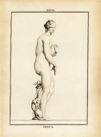 Statue av Venus, romersk gudinne for kjærlighet, skjønnhet, sex og fruktbarhet av Unbekannt