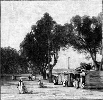 Gatebilde med Pompeys-søylen i det fjerne, Alexandria, Egypt, 1900 av Unbekannt
