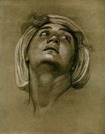 Studie av et hode, 1901 av Unbekannt