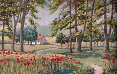 Sommer - De fysiske, kjemiske og biologiske endringene som ble utført av solen i løpet av året, 1935 av Unbekannt
