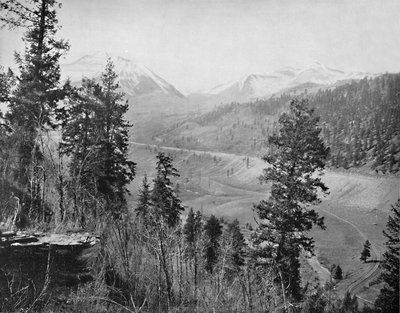 Sunshine Park og Wilson, c1897. av Unbekannt