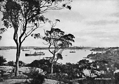 Sydney Harbour, fra Cremorne Point, c1900. av Unbekannt