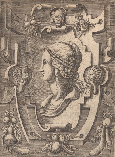 Plaketter og andre ornamenter med forskjellige og lunefulle oppfinnelser Kartusjer og andre ornamenter o ..., 1773. av Unbekannt