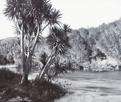 Te Waihou River, Okoroire, slutten av 1800-begynnelsen av 1900-tallet. av Unbekannt