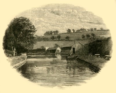 Badeplassen, 1898. av Unbekannt