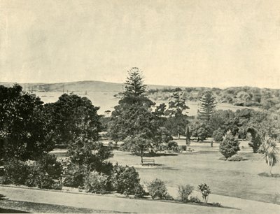 Den botaniske hagen i Sydney, 1901. av Unbekannt