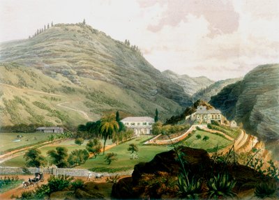 The Briars, St. Helena, tidlig på 1800-tallet 1851 av Unbekannt