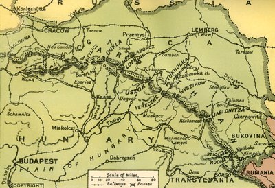Karpatpassene, 1919. av Unbekannt