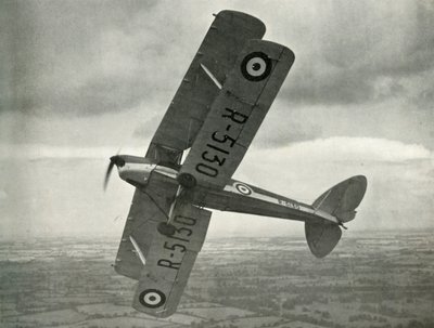 The De Havilland Tiger Moth, 1941. av Unbekannt