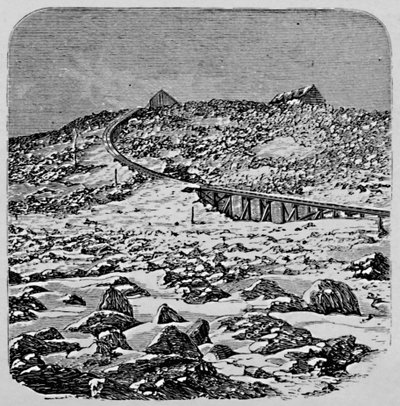 The Depot and Summit House, Mount Washington, 1883 av Unbekannt
