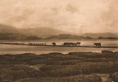 The Dovey at Ynyslas, 1902 av Unbekannt