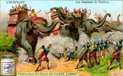 Elefantene fra Pyrrhus, ca 1900 av Unbekannt