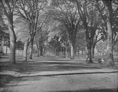 The Elms, New Haven, Conn., c1897. av Unbekannt
