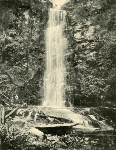 Erskine Falls, nær Lorne, 1901. av Unbekannt