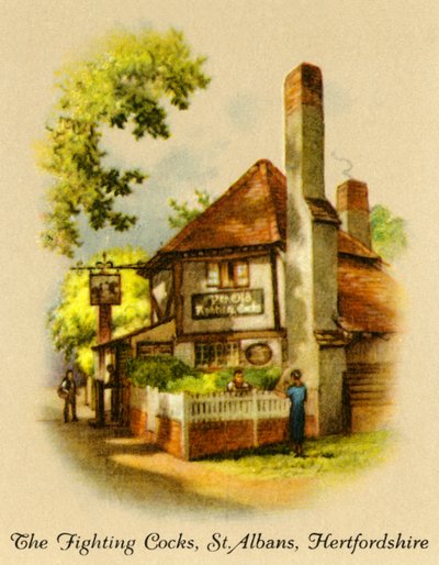 Kamphanene, St. Albans, Hertfordshire, 1936. av Unbekannt