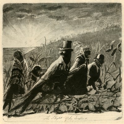 Svalenes flukt, 1882. av Unbekannt