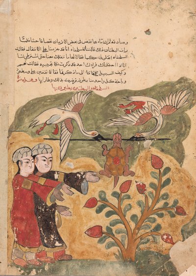 The Flight of the Tortoise, Folio fra en Kalila wa Dimna, 1700-tallet. av Unbekannt