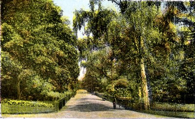 The Flower Walk, Kensington Gardens, London, 1900-tallet av Unbekannt