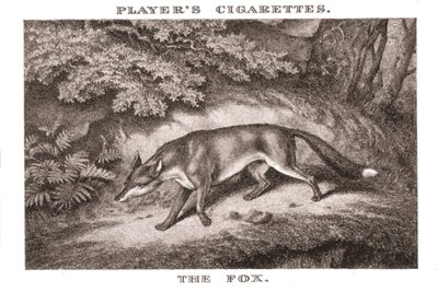 The Fox, 1924. av Unbekannt