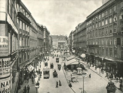 The Graben, Wien, Østerrike, 1895. av Unbekannt
