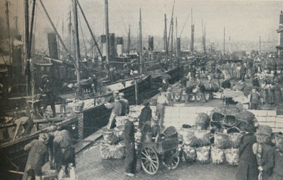 Sildesesongen i full gang, 1937 av Unbekannt