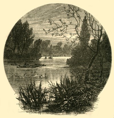 The Lake, Battersea Park, c1878. av Unbekannt
