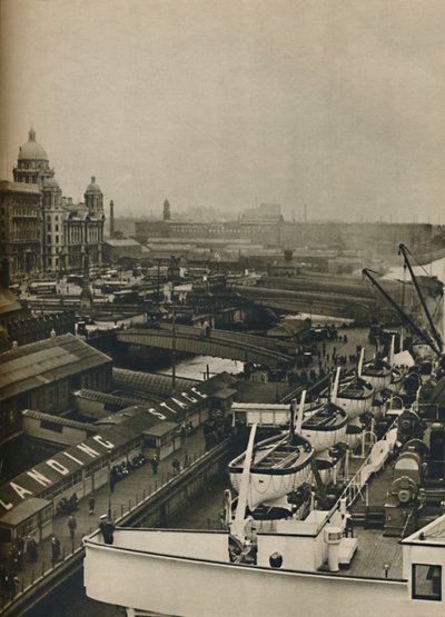 Landingsstadiet i Liverpool, 1936 av Unbekannt
