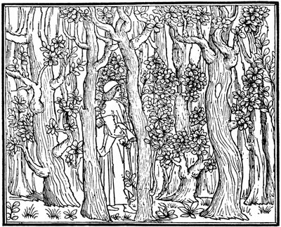 The Lover in the Wood, 1499 1964 av Unbekannt