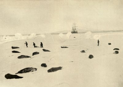 Nimrod ved Pram Point 4. mars 1909 av Unbekannt