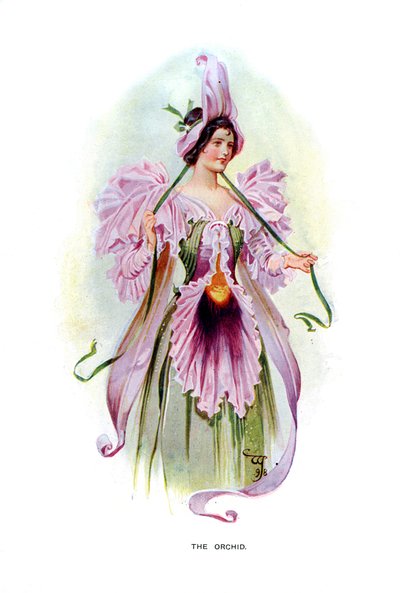Orkideen, 1899 av Unbekannt