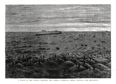 Pampas-jernbanen, søramerikansk lavland, 1877 av Unbekannt