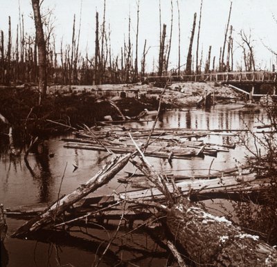 The River Ailette, Nord-Frankrike, c1914-c1918 av Unbekannt