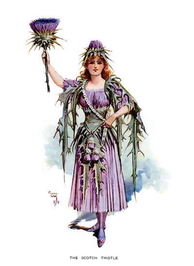 The Scotch Thistle, 1899 av Unbekannt