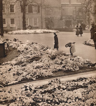 The State Funeral of King George V at Windsor: minnekranser, 1936 av Unbekannt