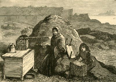 The State of Ireland: En utvist familie nær Errismore, c1880. av Unbekannt