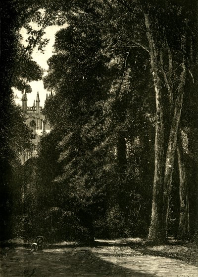 Tower of Merton, fra hagen, 1898. av Unbekannt