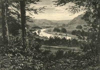The Vale of Avoca, 1898. av Unbekannt