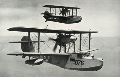 The Vickers-Armstrongs Walrus, 1941. av Unbekannt