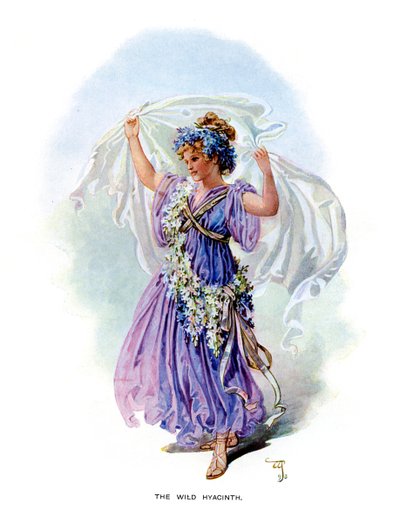 The Wild Hyacinth, 1899 av Unbekannt