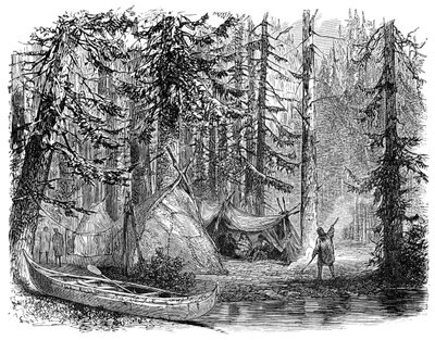 Skogen før emigranten, 1900 av Unbekannt