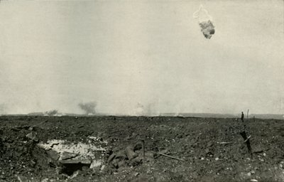 The Woolly Bear., 1919. av Unbekannt