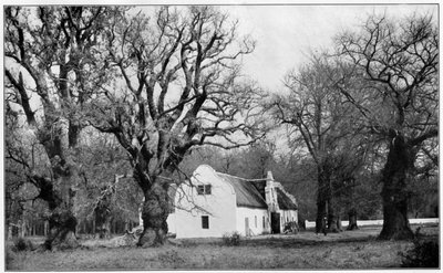 Kjelleren på Vergelegen vingård, Sør-Afrika, 1931 av Unbekannt