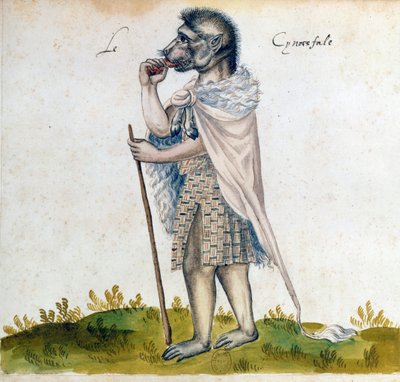 Cynocephalus, 1400-tallet av Unbekannt