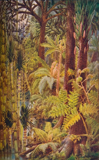 Den gigantiske vegetasjonen i karbonalderen, 1907. av Unbekannt